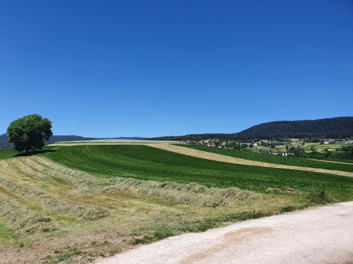 Agritur Belsogno B&B Brez Luaran gambar